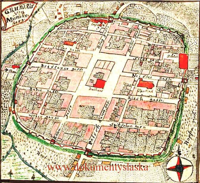 [Obrazek: ziebice%20995.jpg]